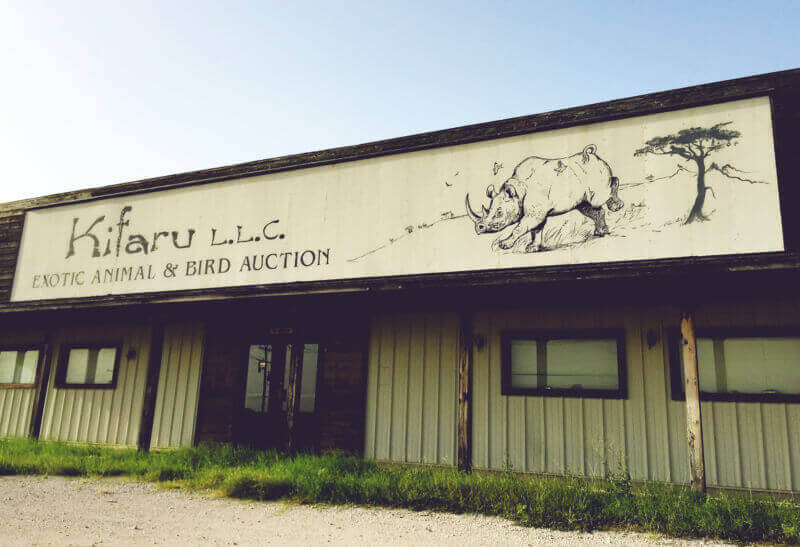 Texas Exotic Animal auction house