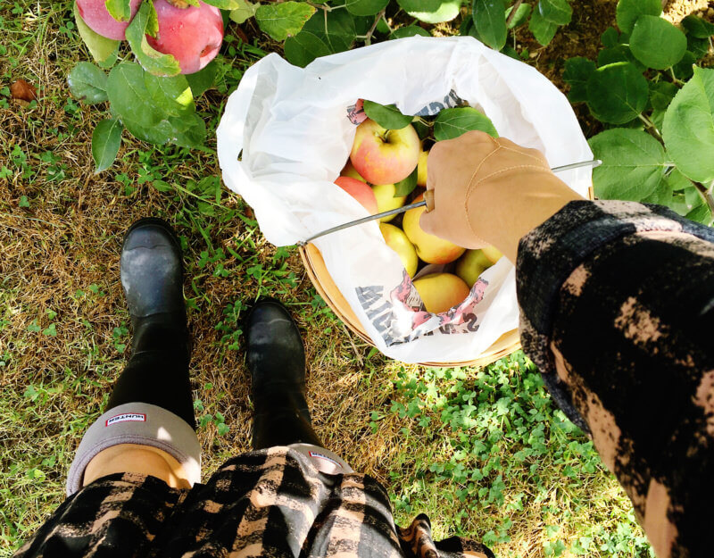 She's So Bright - Apple picking outfit details