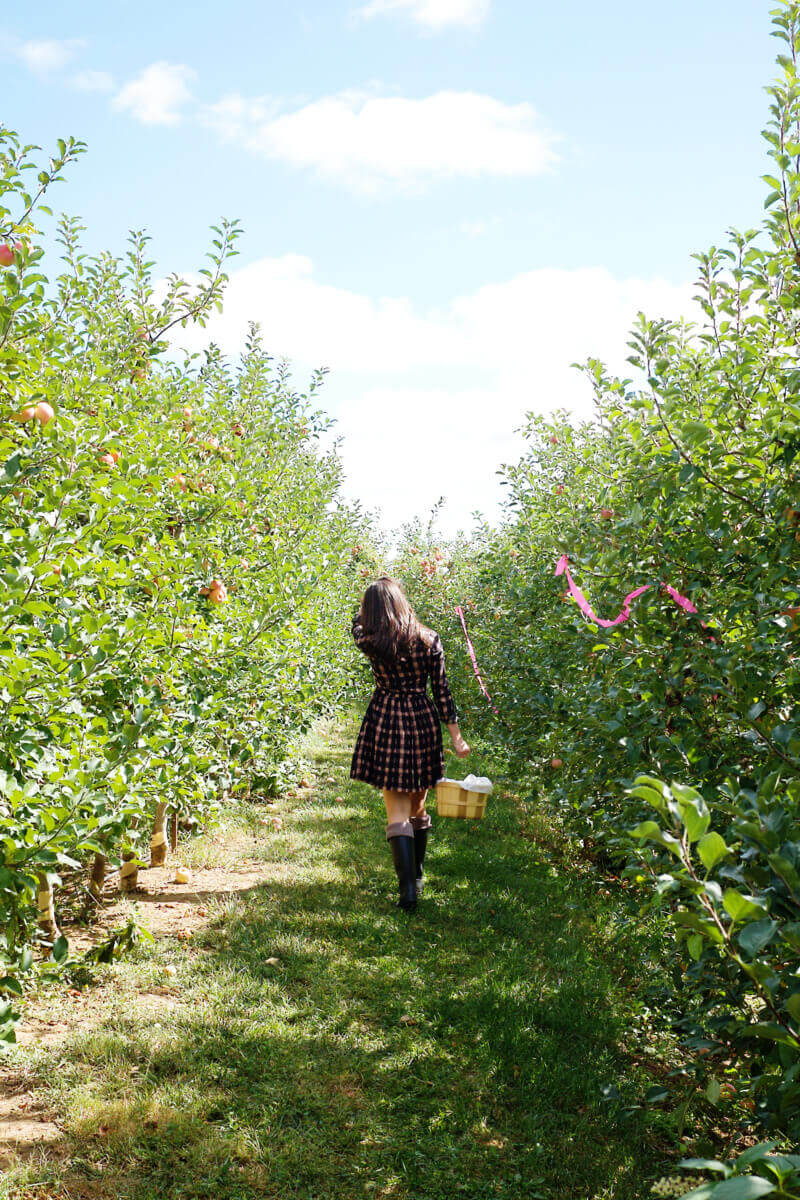 She's So Bright - Eva walking through the apple field