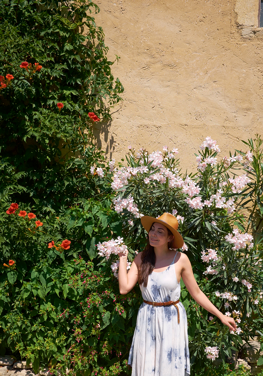 She's So Bright - Among the Wildflowers of Gordes