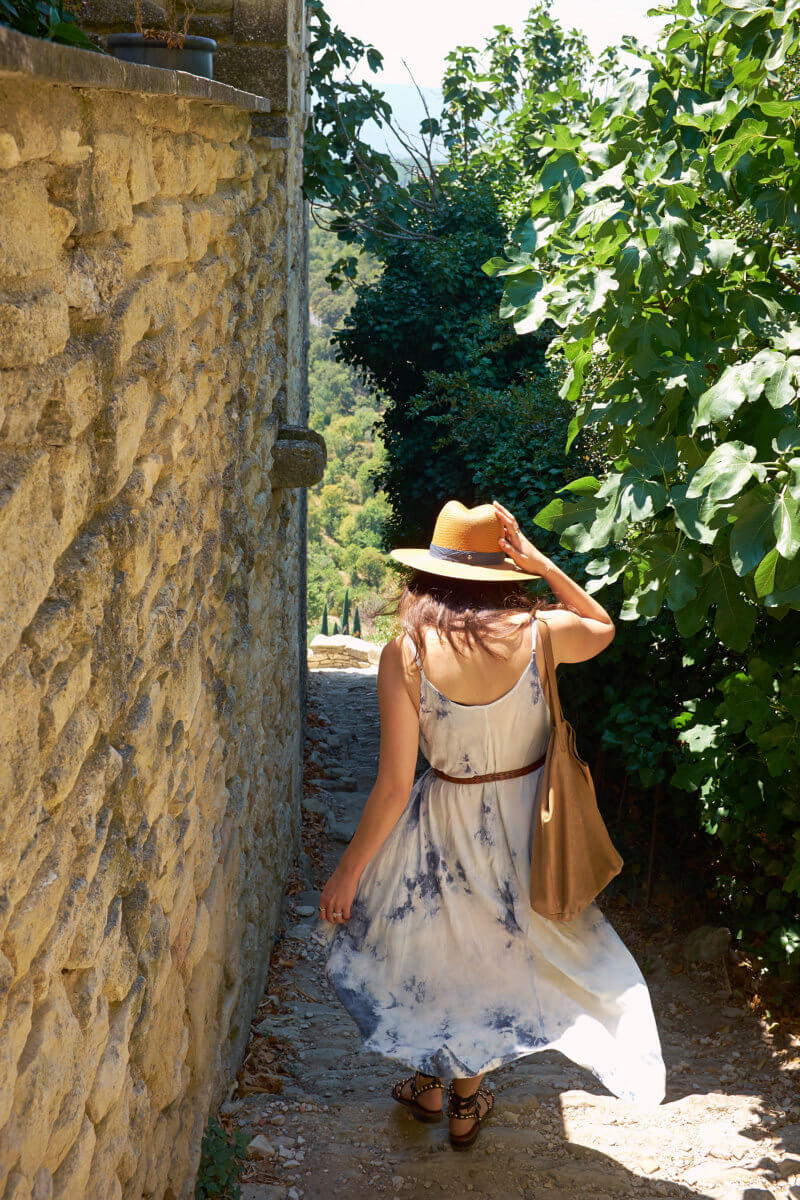 She's So Bright - Among the Wildflowers of Gordes