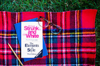 She's So Bright - Currently Reading: Strunk and White's The Elements of Style