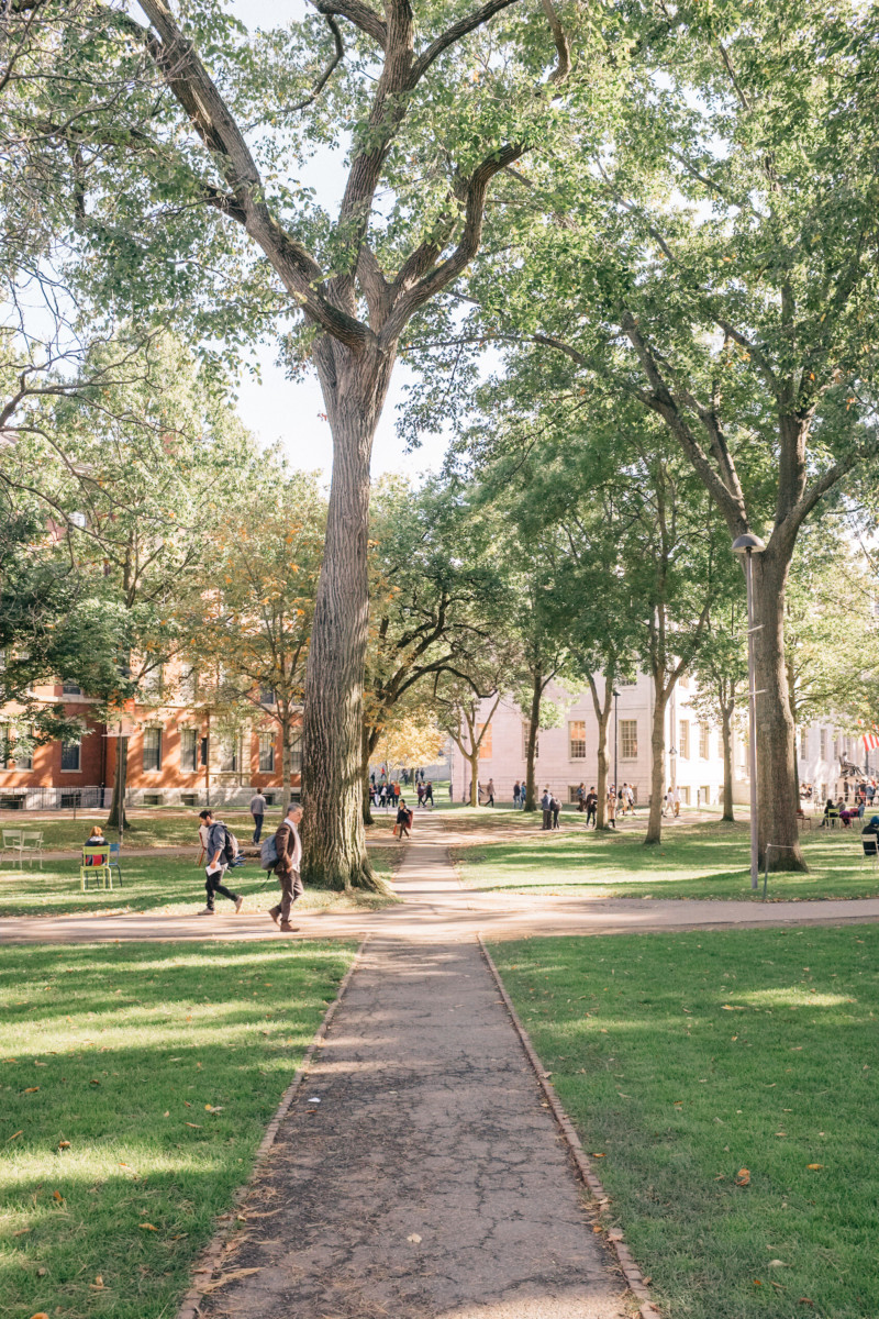 An Ivy League Campus in Autumn Colors - She's So Bright, Harvard, Campus, Ivy League, University, College, Cambridge, Massachusetts, Boston