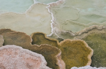 Abstract Images of Yellowstone’s Colorful Landscape - She's So Bright, Travel, Landscape, Colors, Pastels, Shapes, Photography, Minerva Terraces, Mammoth Hot Springs