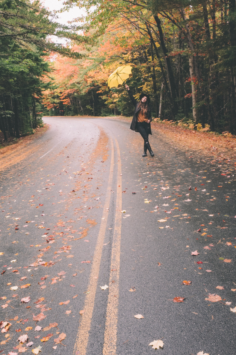 Autumn’s Final Breath in Acadia Maine - She's So Bright , Acadia, National Park, Fall Colors, Leaves, Moody,